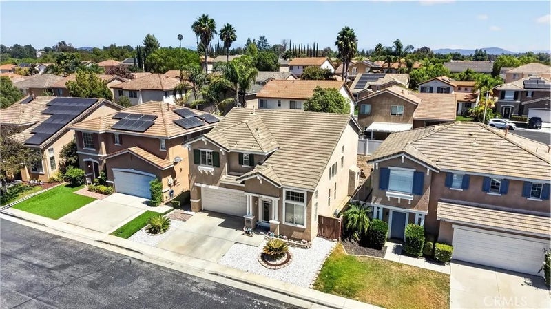 42124 Orange Blossom