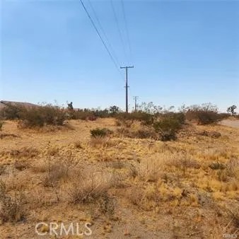 1595 La Mesa