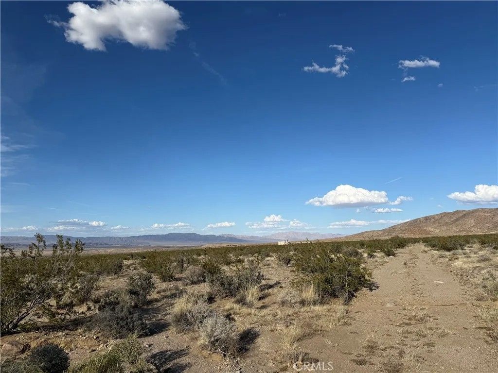 Photo of 8500 Utah, 29 Palms, CA 92277 (MLS # JT26077919)