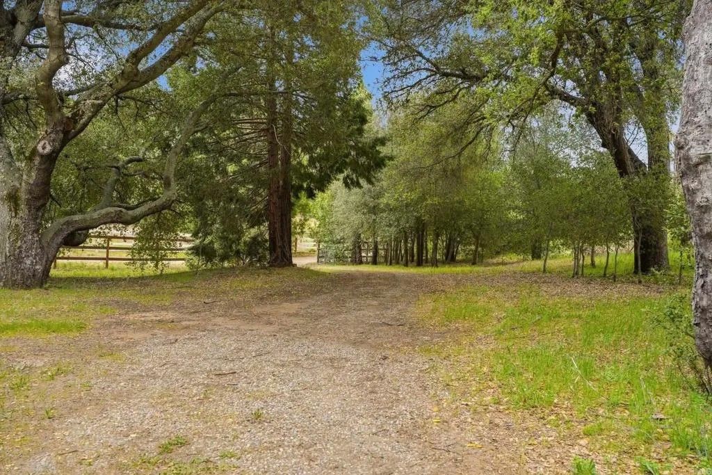 Photo of 5867 Forest Meadow, Julian, CA 92036 (MLS # NDP2603911)