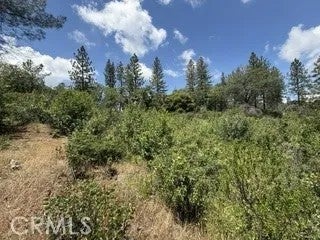 0 Feather Ridge