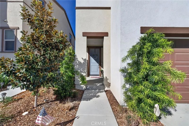 29397 Cosgrove Street