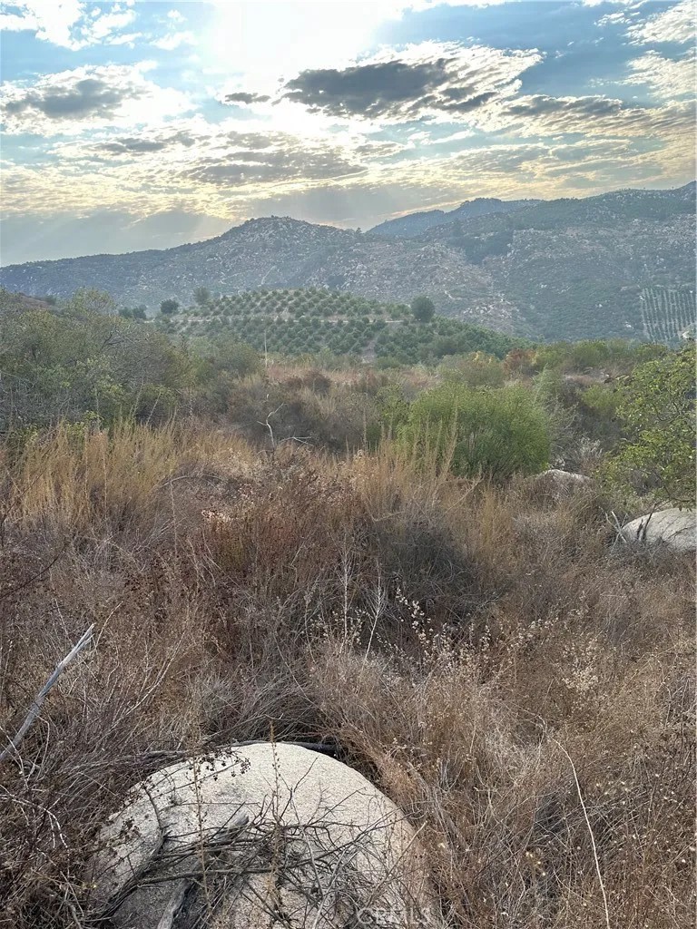 0 Vuelta Grande