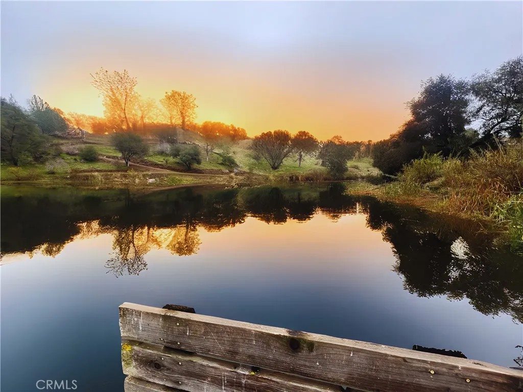 3223 Wild Rose Court