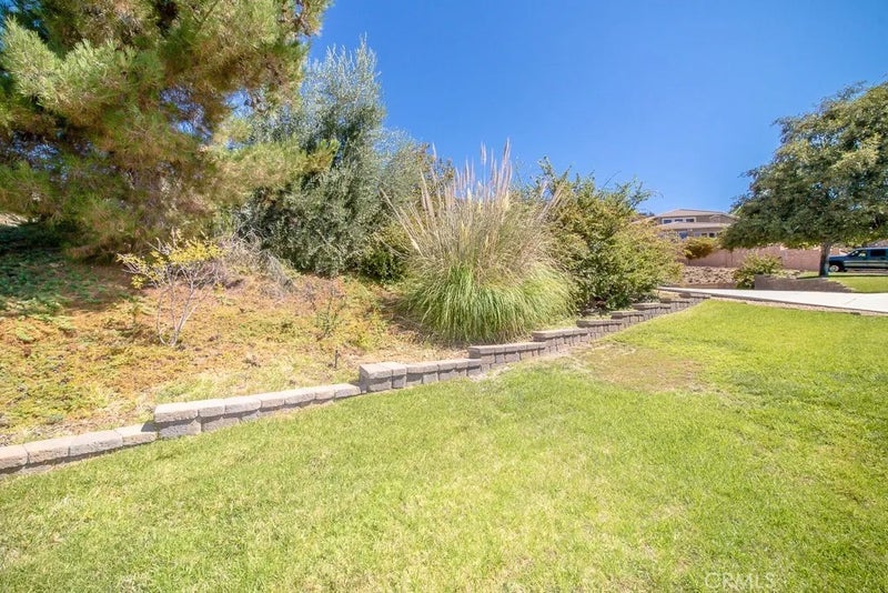 36284 Poplar