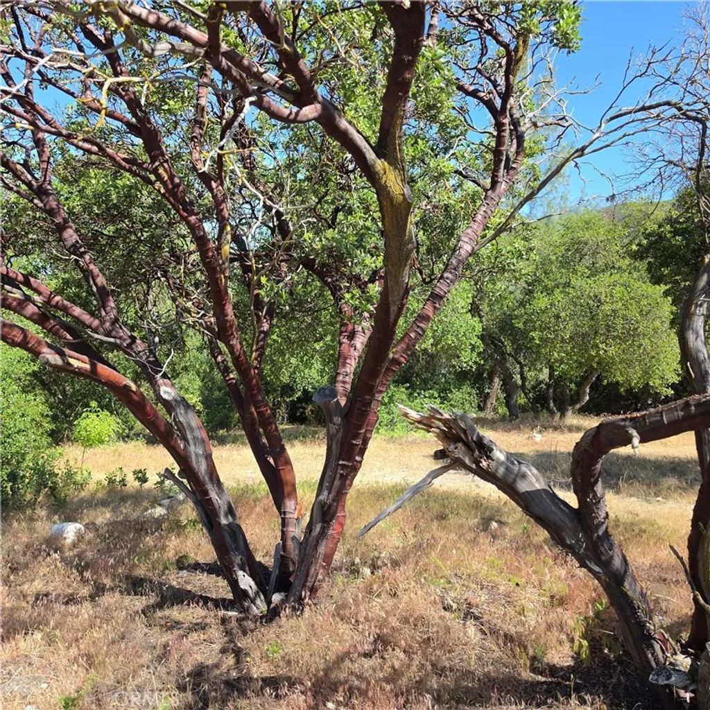 Photo of 3367 3rd ST, Clearlake, CA 95422 (MLS # LC26110139)