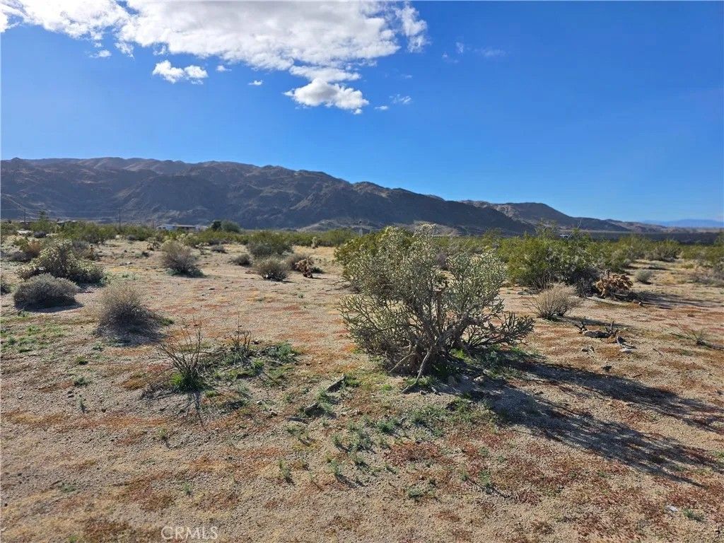 Photo of 7335 Utah Trl, 29 Palms, CA 92277 (MLS # JT26004854)