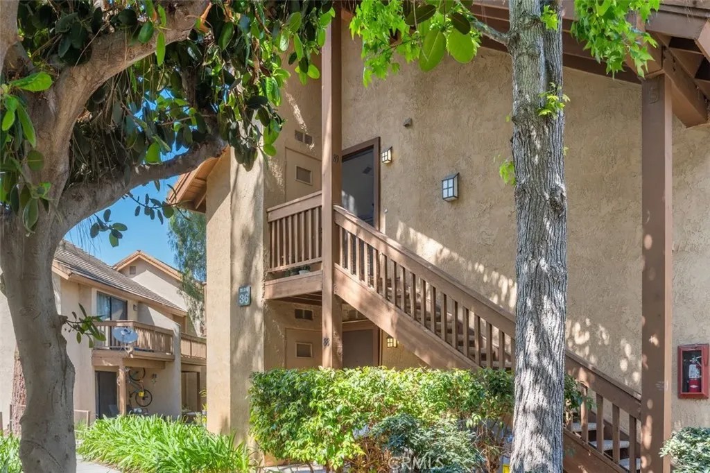 89 Lemon Grove