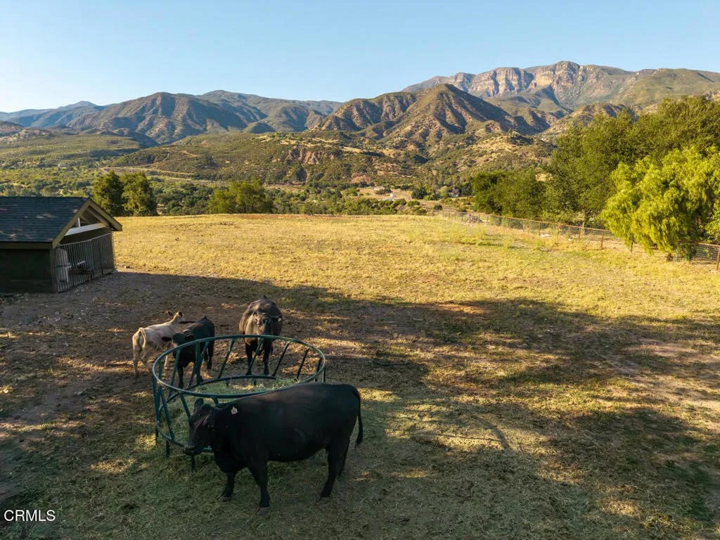 13100 Ojai Road