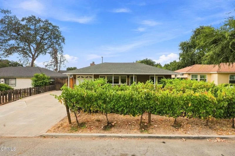 211 Shady Lane