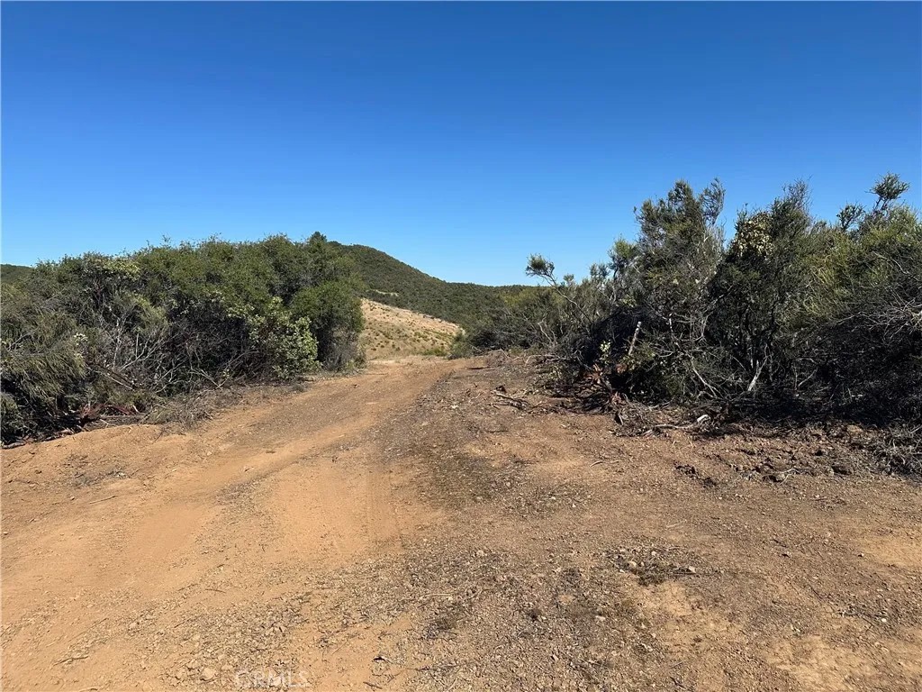 7157 Amber Ridge