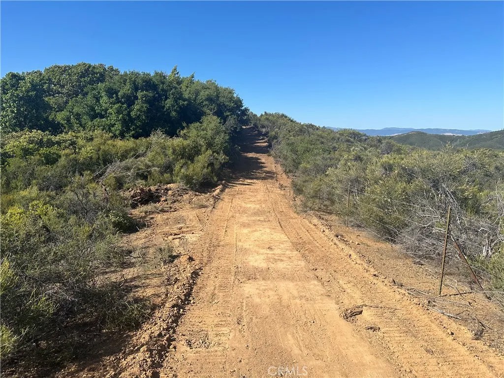 7157 Amber Ridge