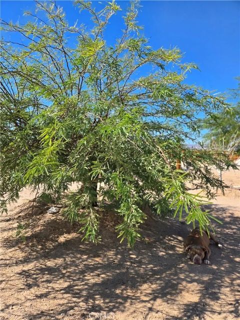 Tiny photo for 83415 Amboy Road, 29 Palms, CA 92277 (MLS # CV25236610)