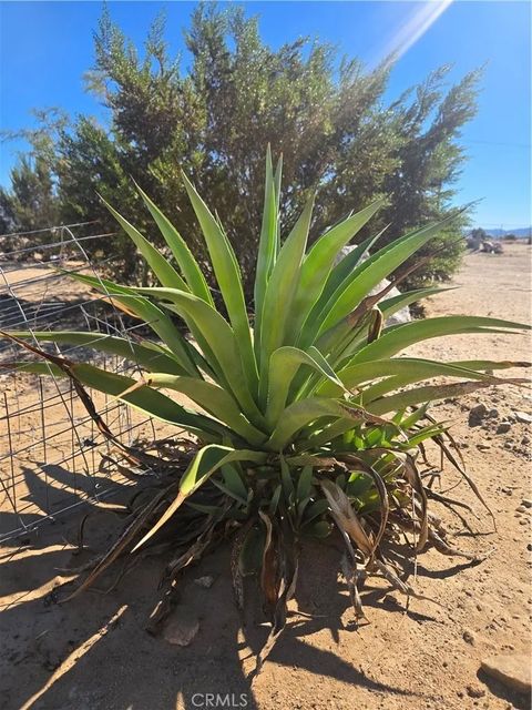 Tiny photo for 83415 Amboy Road, 29 Palms, CA 92277 (MLS # CV25236610)