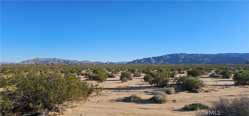 0 Mesquite Springs
