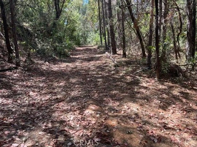 12 Broken Springs