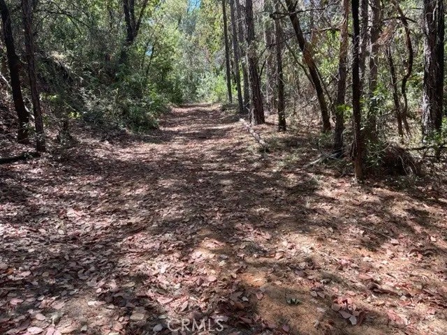 12 Broken Springs