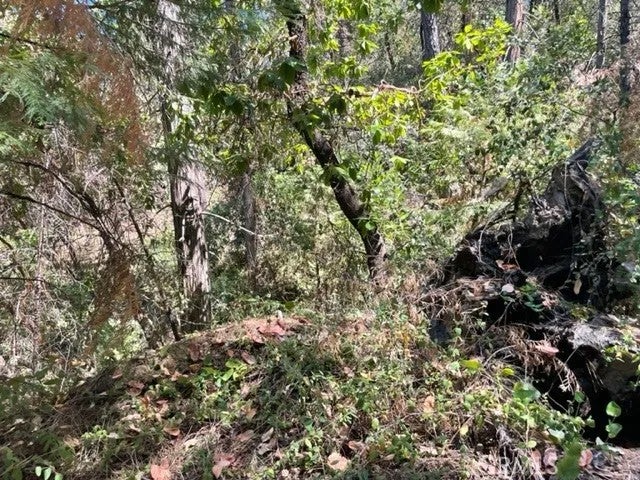 12 Broken Springs