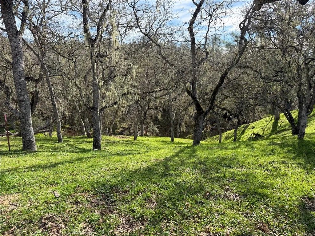 Photo of 2532 Anchor, Bradley, CA 93426 (MLS # NS26014607)