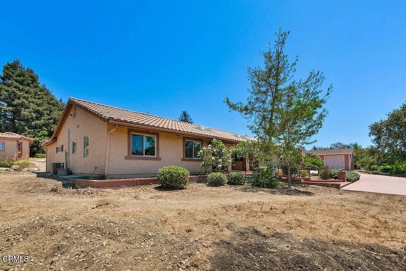 567 Avocado Place