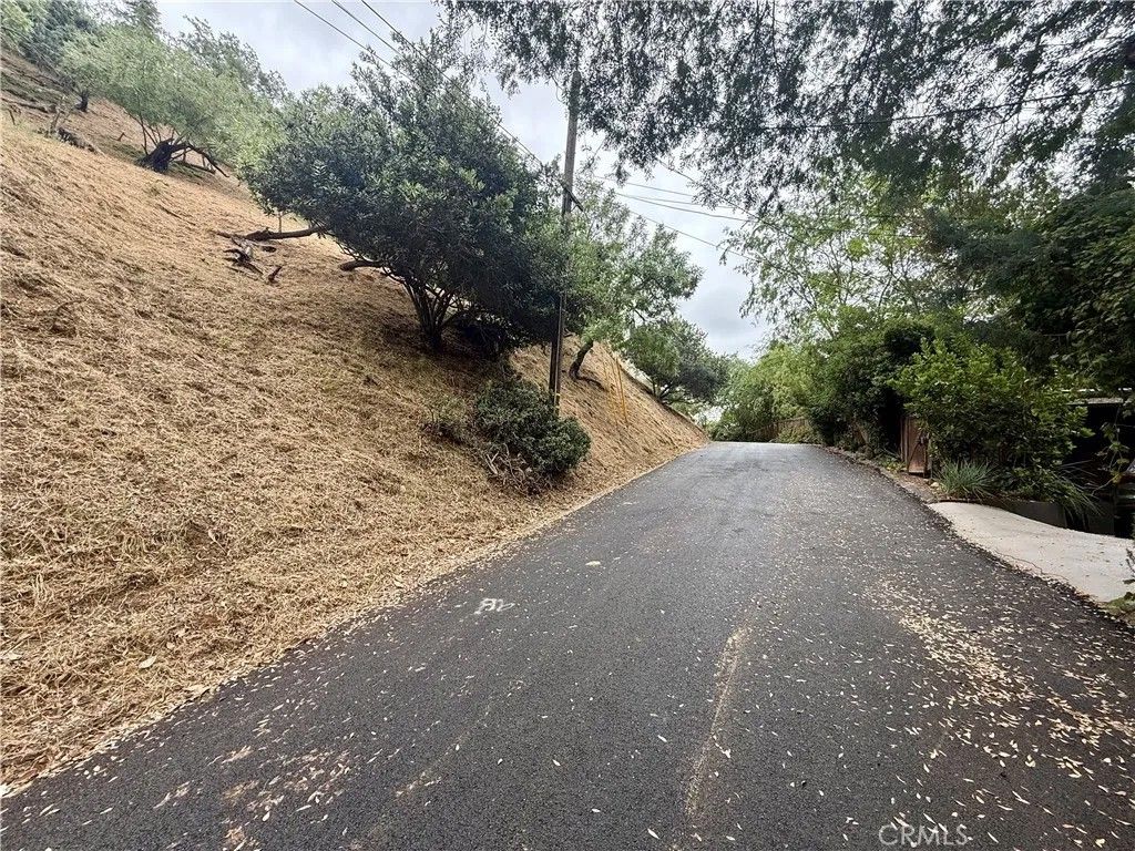 Photo of 848 Ganymede Dr, Los Angeles, CA 90065 (MLS # AR26103816)