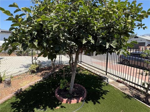 Photo of 11241 De Haven Ave, Pacoima, CA 91331 (MLS # SR26177126) Photo of 11241 De Haven Ave, Pacoima, CA 91331 (MLS # SR26177126)