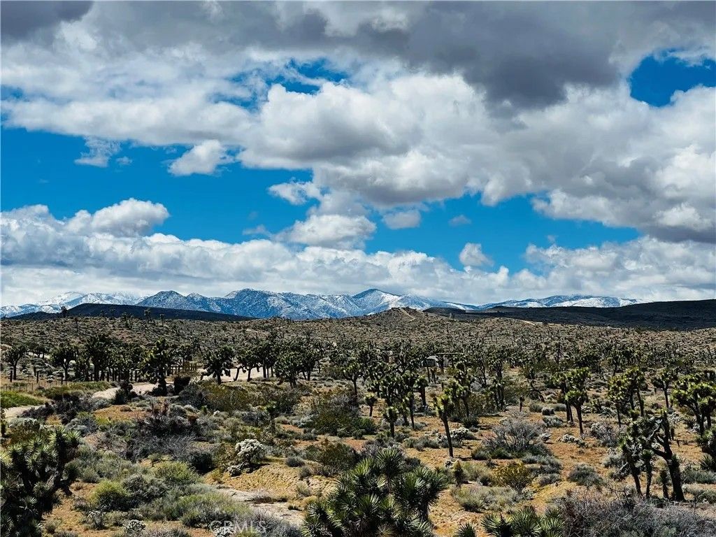 Photo of 57864 Sunflower Dr, Yucca Valley, CA 92284 (MLS # JT26114841)