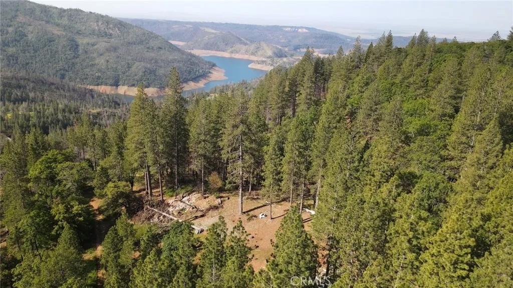 0 bell ranch