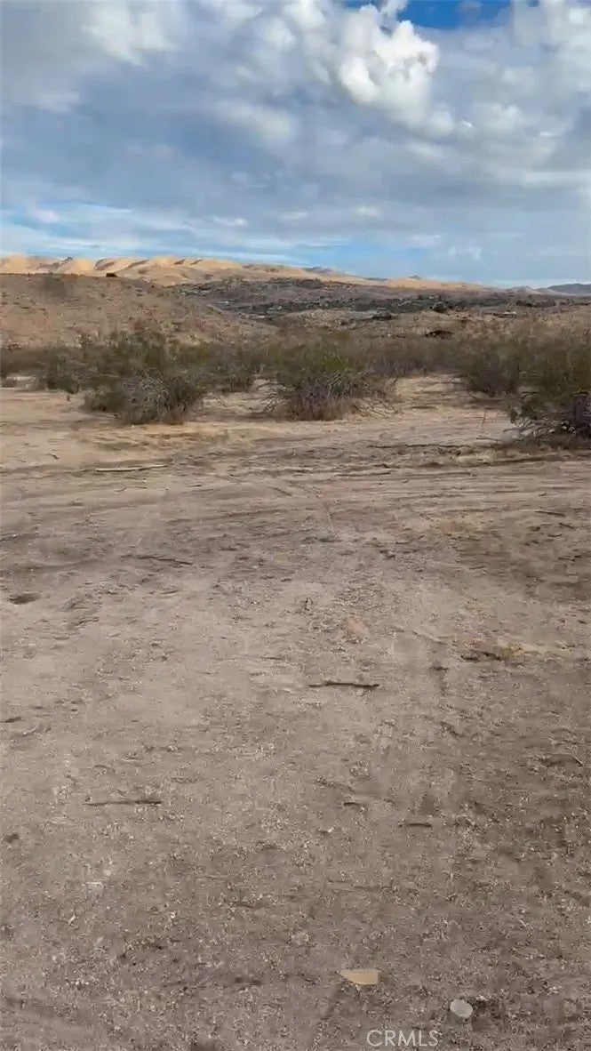 0 Lagartijo