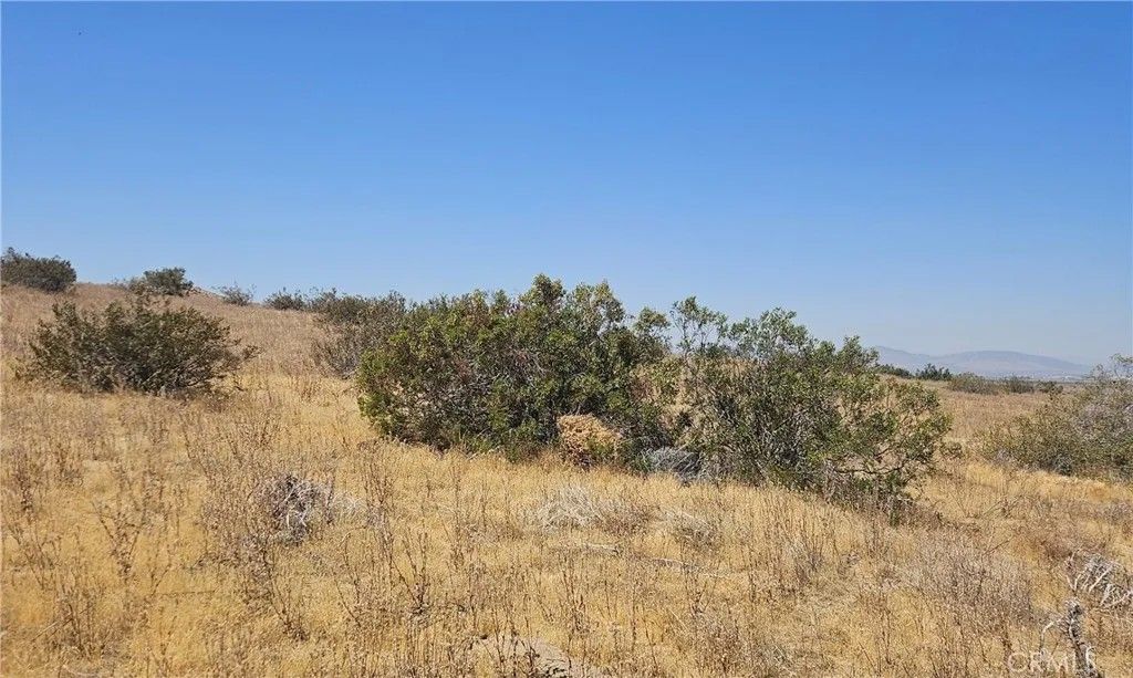 Photo of 0 Avenue M-8, Palmdale, CA 93591 (MLS # SR26112933)