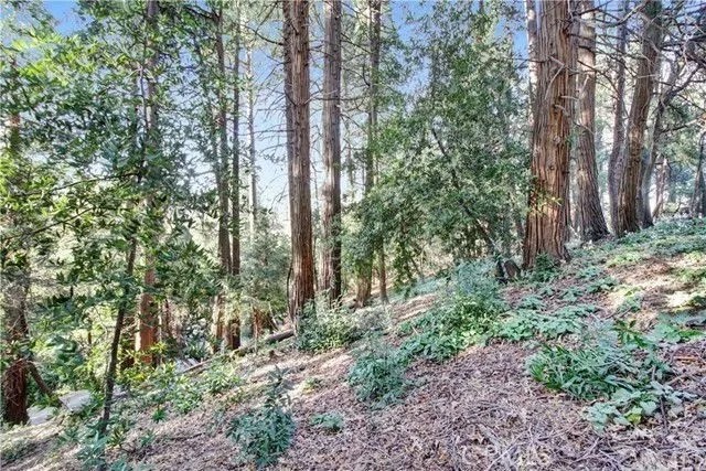 2662 Scenic