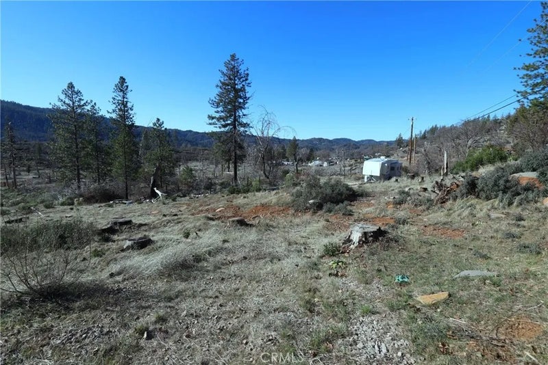 14937 Hoberg