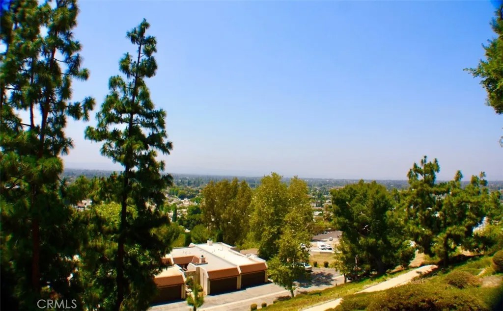 15656 Viewridge