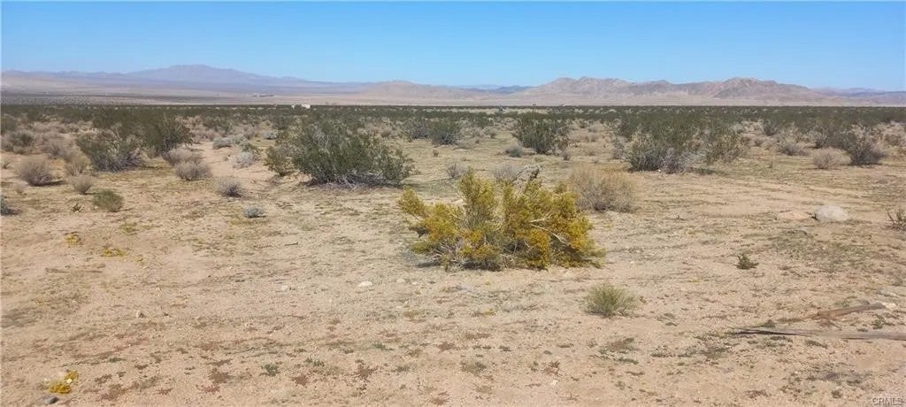 0 N Joshua Tree