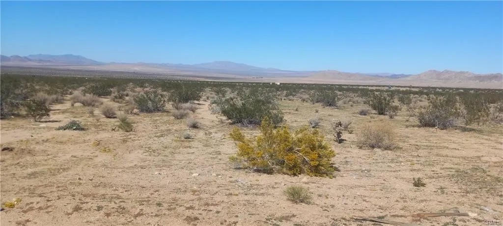 0 N Joshua Tree