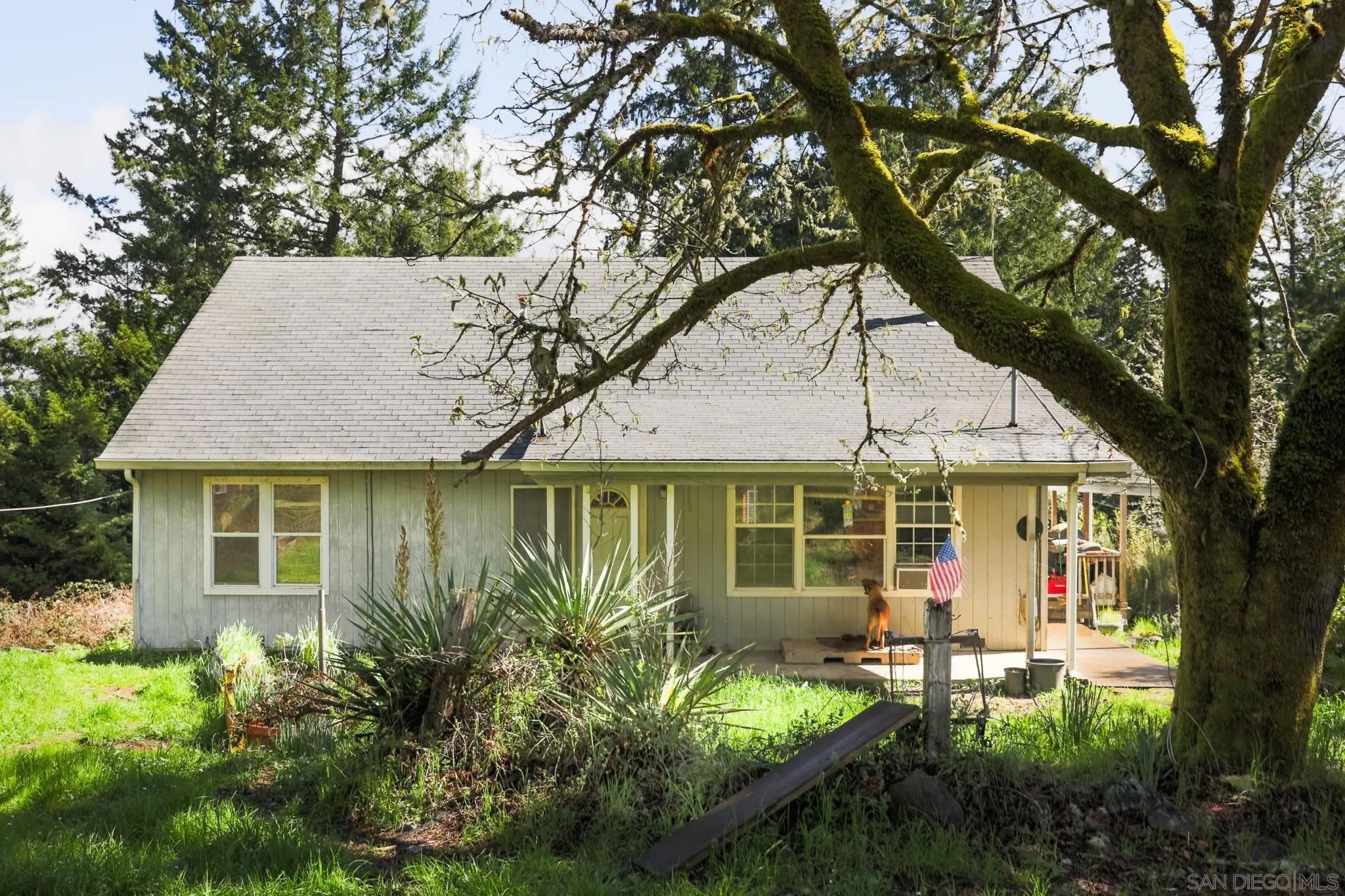 9897 Dyerville Loop Rd