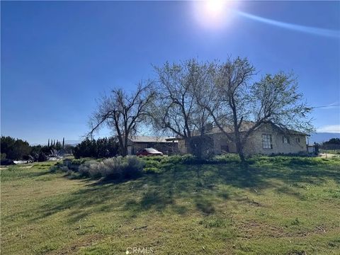 Photo of 9616 Schlitz Rd, Phelan, CA 92371 (MLS # WS26056080)