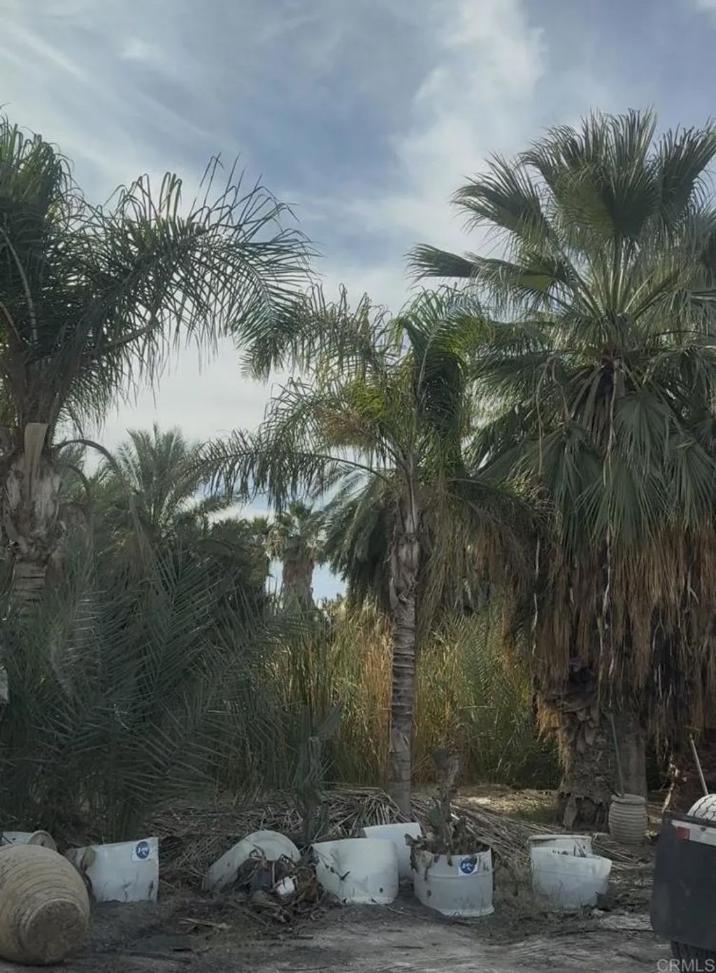 Photo of 2310 W Highway 86 Road, Brawley, CA 92227 (MLS # NDP2601235)