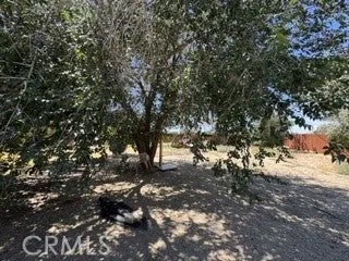 40915 161st East