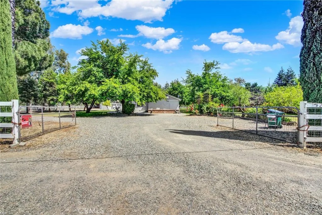6204 COUNTY RD 53