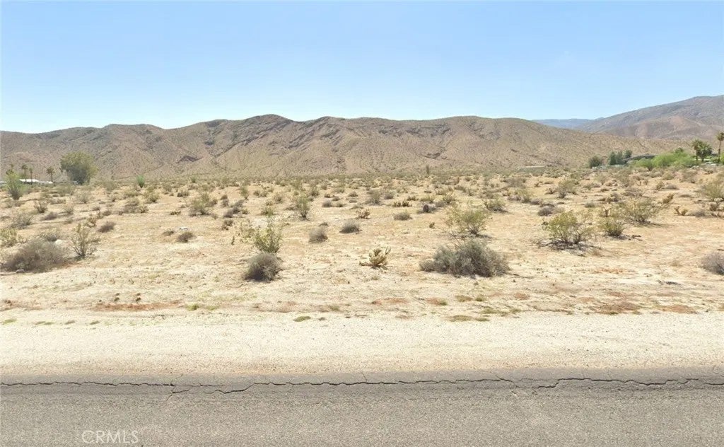 349 Palm Canyon