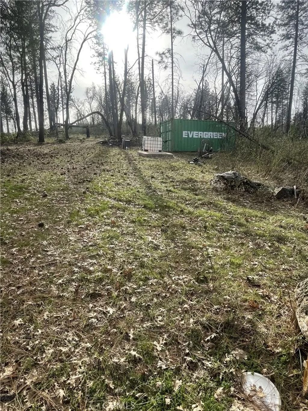 Photo of 998 Encina Grande Rd, Berry Creek, CA 95916 (MLS # SN26027240)