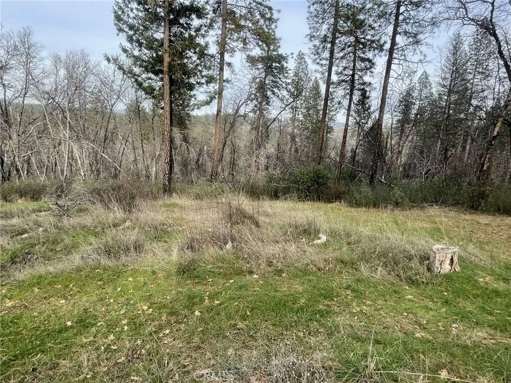 Photo of 998 Encina Grande Rd, Berry Creek, CA 95916 (MLS # SN26027240)