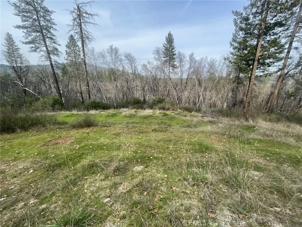 Photo of 998 Encina Grande Rd, Berry Creek, CA 95916 (MLS # SN26027240)