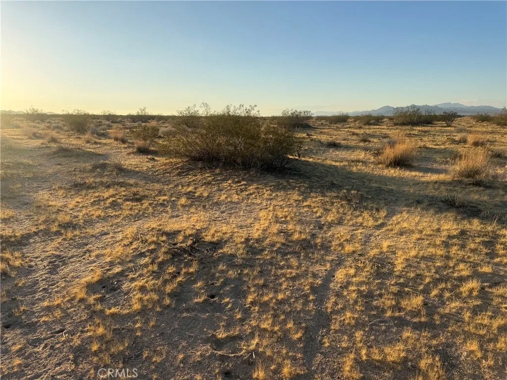 Photo of 1 Swanee, Lucerne Valley, CA 92356 (MLS # HD26209332)