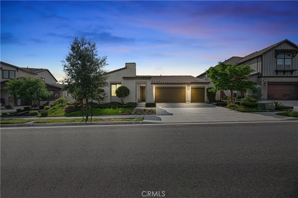 31044 Morgan Horse Street