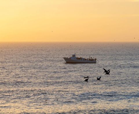 Tiny photo for 939 Coast Blvd #4A, La Jolla, CA 92037 (MLS # 250028424)