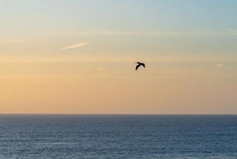Tiny photo for 939 Coast Blvd #4A, La Jolla, CA 92037 (MLS # 250028424)