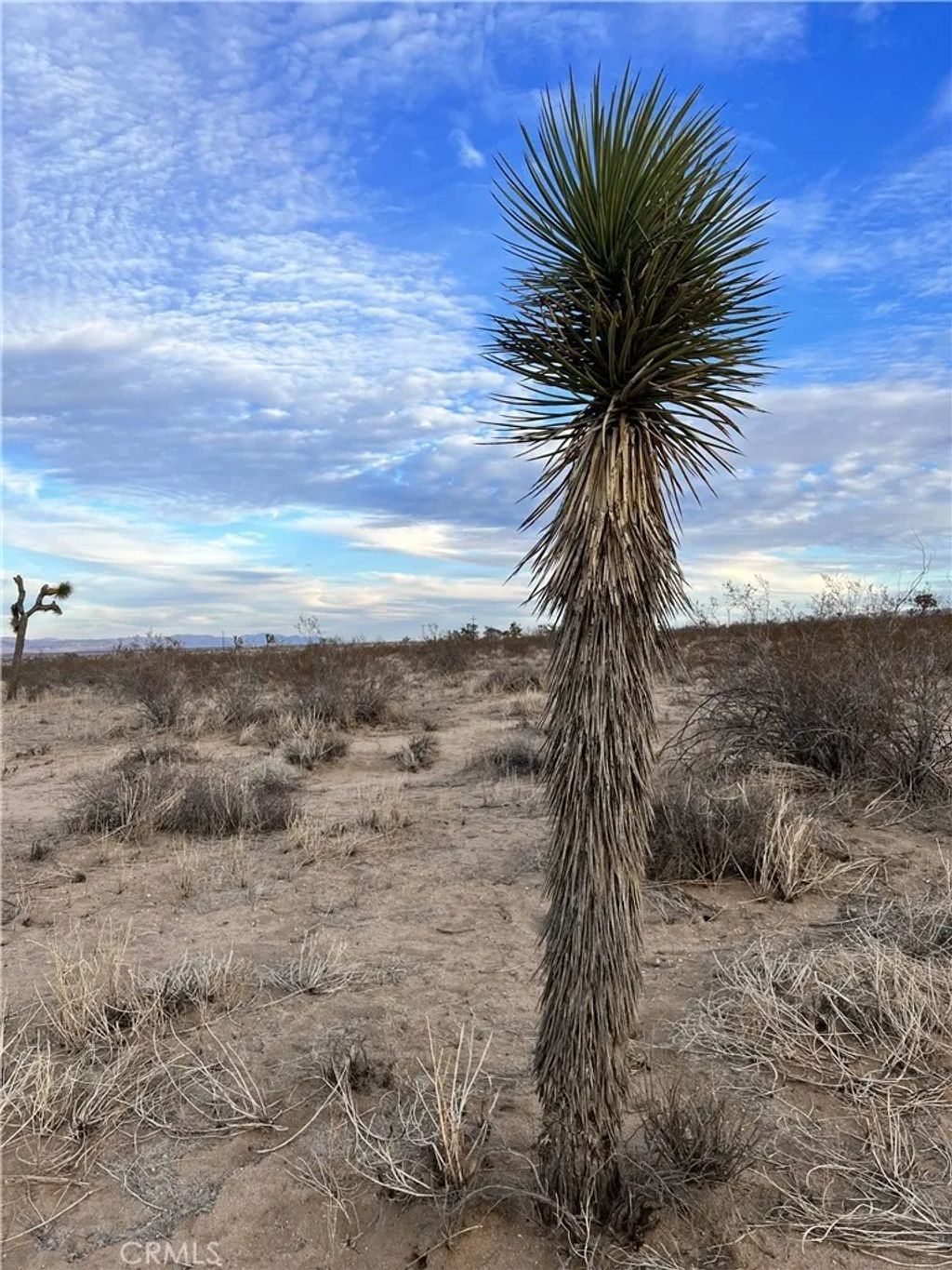 Photo of 575 N Covelo, Landers, CA 92285 (MLS # TR26080912)