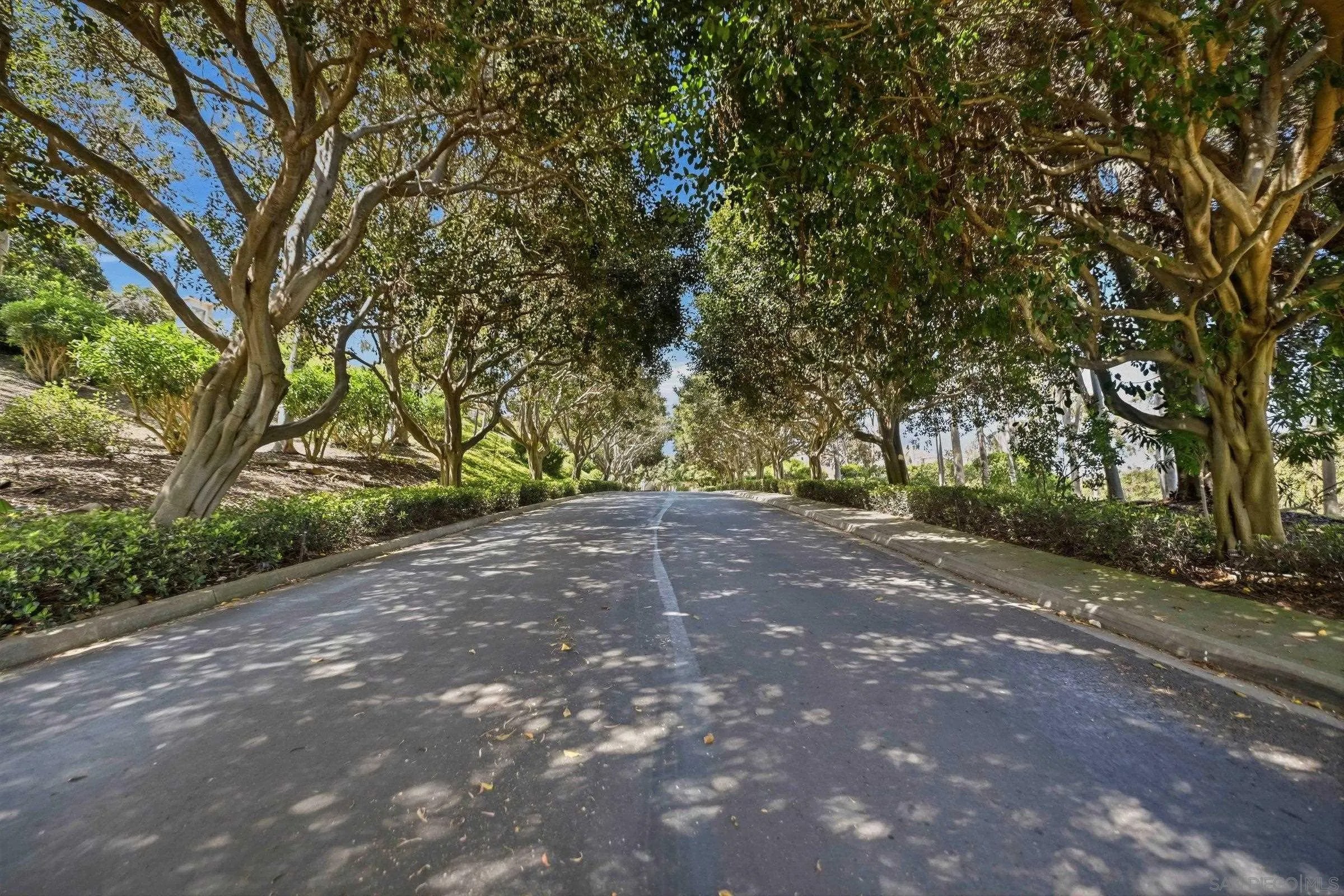 4470 Caminito Tecera